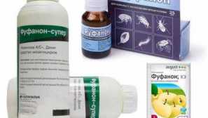 Koristeći od bugova fufanon akcije, značajke, prednosti i nedostatke